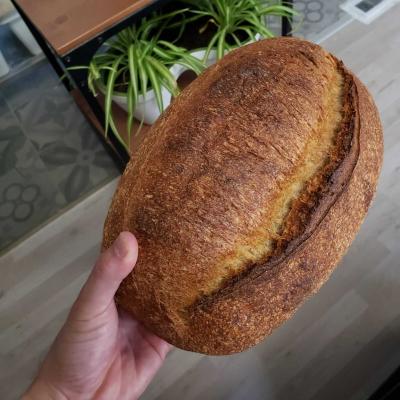 gallery-bread-hand